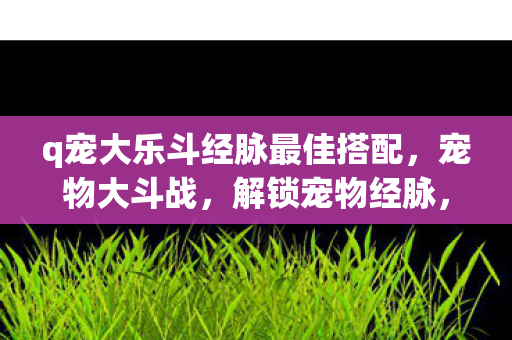 q宠大乐斗经脉最佳搭配图片