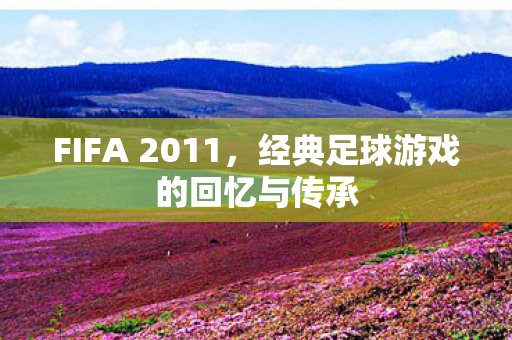 FIFA 2011，经典足球游戏的回忆与传承