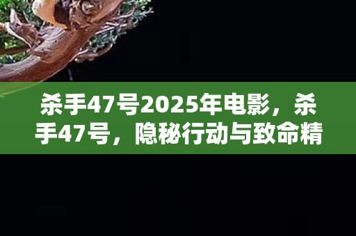 杀手47号2025年电影，杀手47号，隐秘行动与致命精准