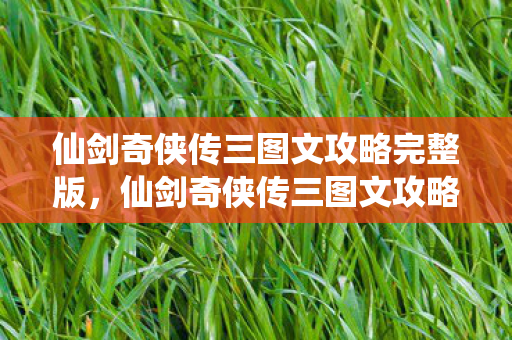仙剑奇侠传三图文攻略完整版,仙剑奇侠传三图文攻略 仙剑奇侠传三图文攻略完整版,仙剑奇侠传三图文攻略