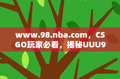 www.98.nba.com，CSGO玩家必看，揭秘UUU9平台的真实面貌