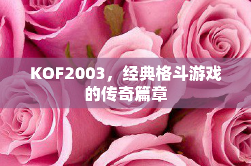 KOF2003，经典格斗游戏的传奇篇章
