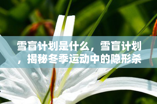 雪盲计划是什么，雪盲计划，揭秘冬季运动中的隐形杀手