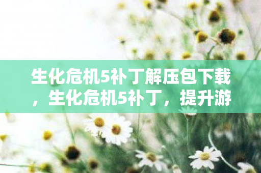 生化危机5补丁解压包下载,生化危机5补丁,提升游戏体验的必备利器 生化危机5补丁解压包下载,生化危机5补丁,提升游戏体验的必备利器
