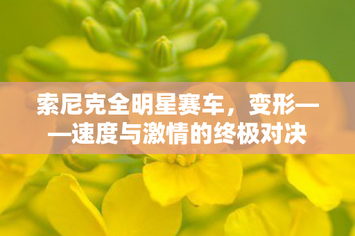 索尼克全明星赛车，变形——速度与激情的终极对决