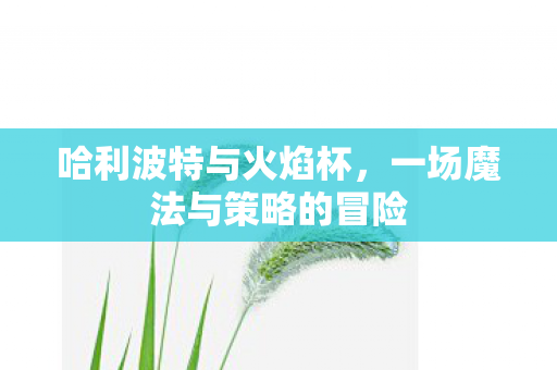 哈利波特与火焰杯，一场魔法与策略的冒险