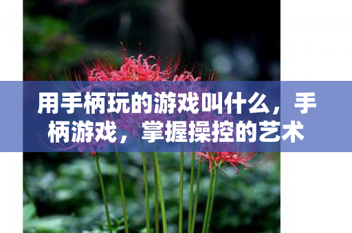 用手柄玩的游戏叫什么，手柄游戏，掌握操控的艺术