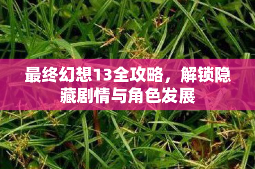最终幻想13全攻略，解锁隐藏剧情与角色发展