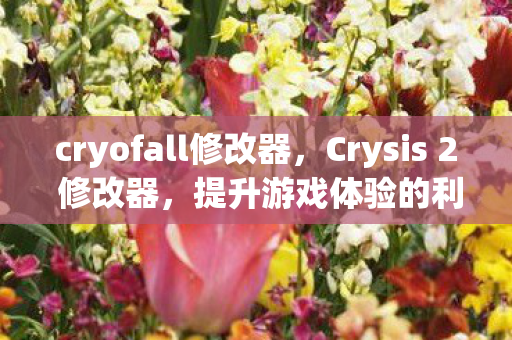 cryofall修改器，Crysis 2 修改器，提升游戏体验的利器