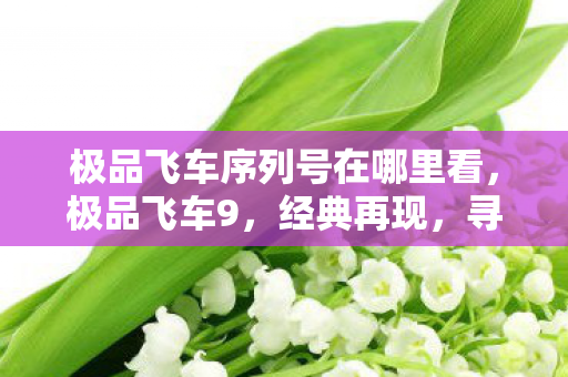 极品飞车序列号在哪里看，极品飞车9，经典再现，寻找遗失的序列号