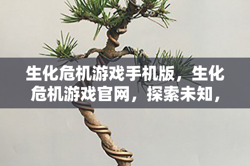 生化危机游戏手机版，生化危机游戏官网，探索未知，直面恐惧