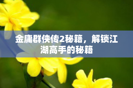 金庸群侠传2秘籍，解锁江湖高手的秘籍