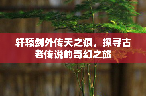 探寻古老传说的奇幻之旅图片