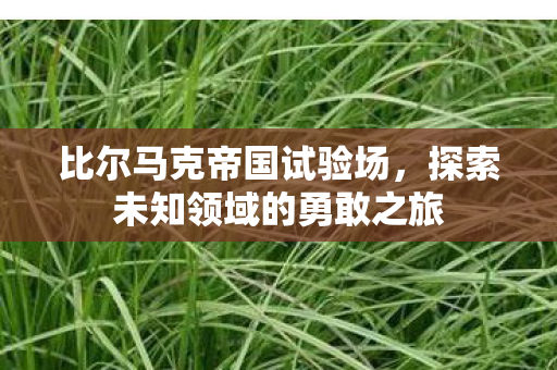 比尔马克帝国试验场，探索未知领域的勇敢之旅