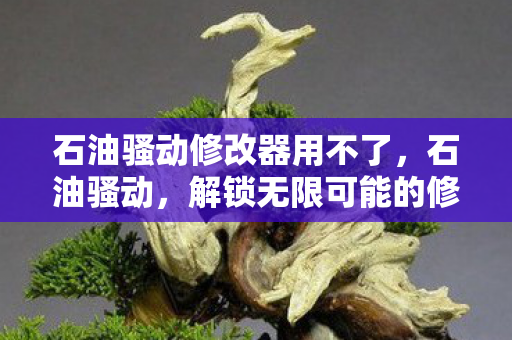 石油骚动修改器用不了，石油骚动，解锁无限可能的修改器