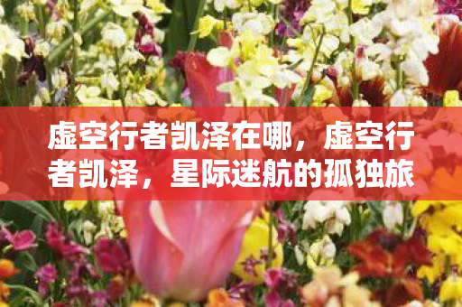 虚空行者凯泽在哪，虚空行者凯泽，星际迷航的孤独旅者