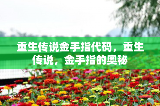 重生传说金手指代码，重生传说，金手指的奥秘