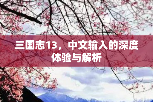 三国志13,中文输入的深度体验与解析 三国志13,中文输入的深度体验与解析