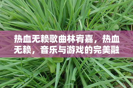 热血无赖歌曲林宥嘉，热血无赖，音乐与游戏的完美融合