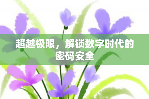 超越极限,解锁数字时代的密码安全 超越极限,解锁数字时代的密码安全