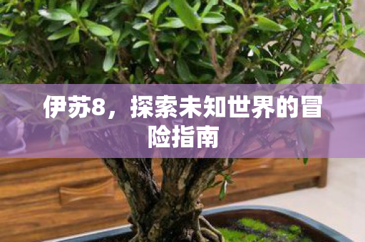 伊苏8，探索未知世界的冒险指南
