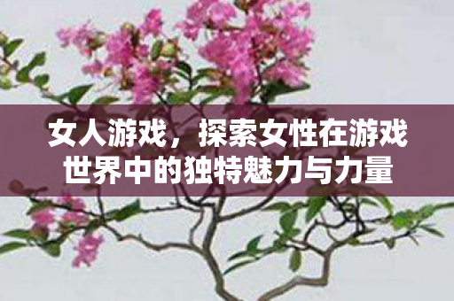 女人游戏，探索女性在游戏世界中的独特魅力与力量