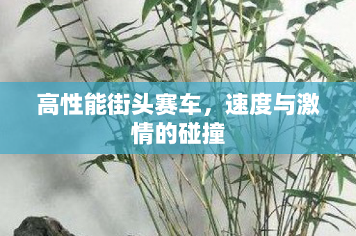 高性能街头赛车，速度与激情的碰撞