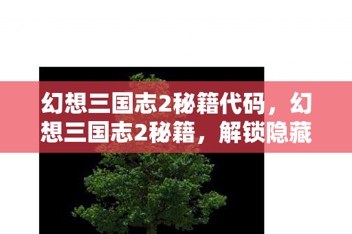 幻想三国志2秘籍代码，幻想三国志2秘籍，解锁隐藏剧情与角色攻略