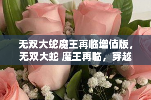 无双大蛇魔王再临增值版，无双大蛇 魔王再临，穿越时空的终极决战