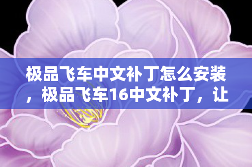 极品飞车中文补丁怎么安装，极品飞车16中文补丁，让速度与激情跨越语言障碍