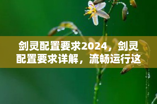 剑灵配置要求2024,剑灵配置要求详解,流畅运行这款MMORPG的硬件需求 剑灵配置要求2024,剑灵配置要求详解,流畅运行这款MMORPG的硬件需求