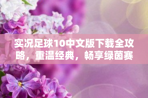 实况足球10中文版下载全攻略,重温经典,畅享绿茵赛场 实况足球10中文版下载全攻略,重温经典,畅享绿茵赛场