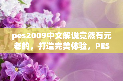 pes2009中文解说竟然有元老的，打造完美体验，PES2009中文解说全攻略