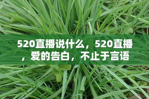 520直播说什么，520直播，爱的告白，不止于言语