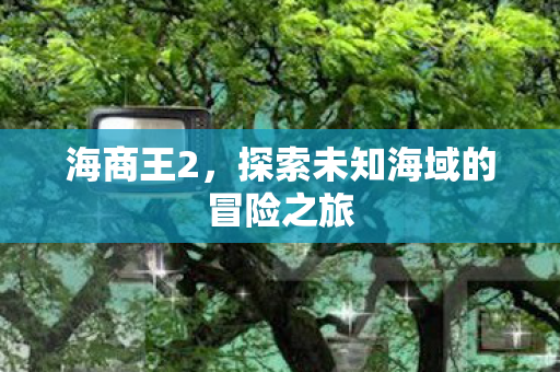 海商王2，探索未知海域的冒险之旅
