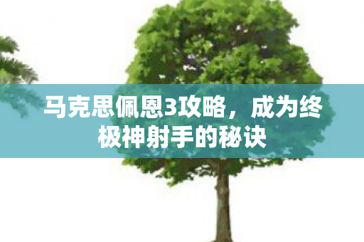 马克思佩恩3攻略，成为终极神射手的秘诀