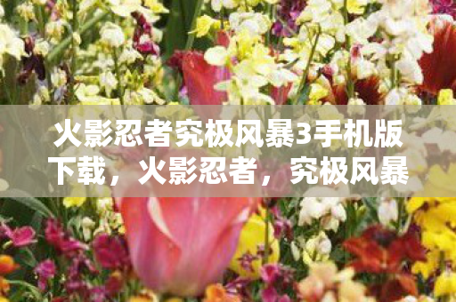 火影忍者究极风暴3手机版下载，火影忍者，究极风暴3——重温经典，感受忍者的热血与羁绊