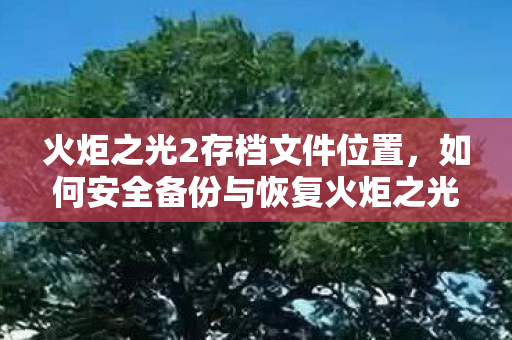 火炬之光2存档文件位置，如何安全备份与恢复火炬之光2游戏存档