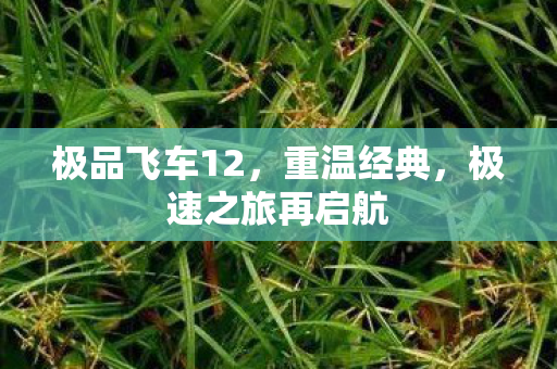 极品飞车12，重温经典，极速之旅再启航