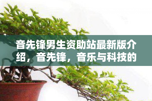 音先锋男生资助站最新版介绍图片