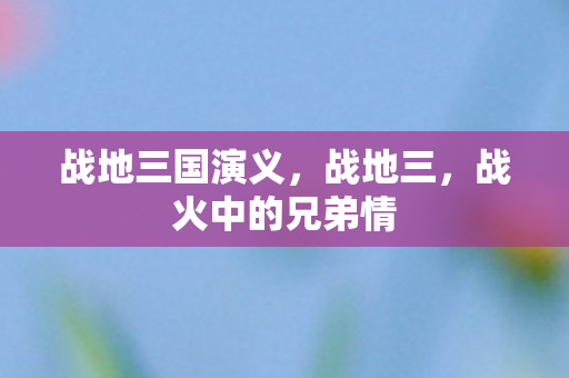 战地三国演义，战地三，战火中的兄弟情