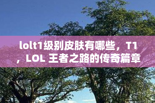 lolt1级别皮肤有哪些，T1，LOL 王者之路的传奇篇章