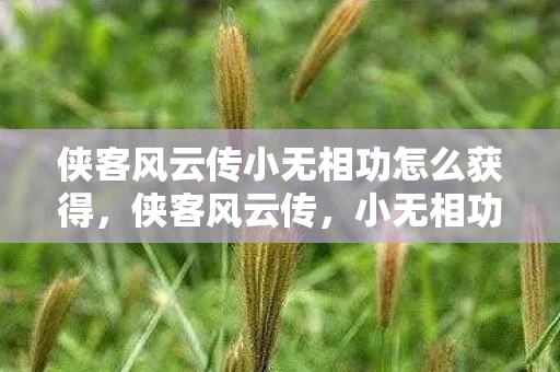 侠客风云传小无相功怎么获得，侠客风云传，小无相功的奥秘与传奇