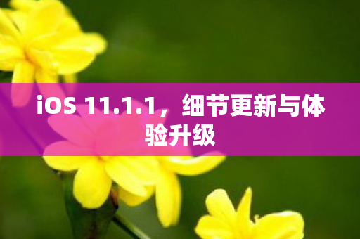 iOS 11.1.1，细节更新与体验升级