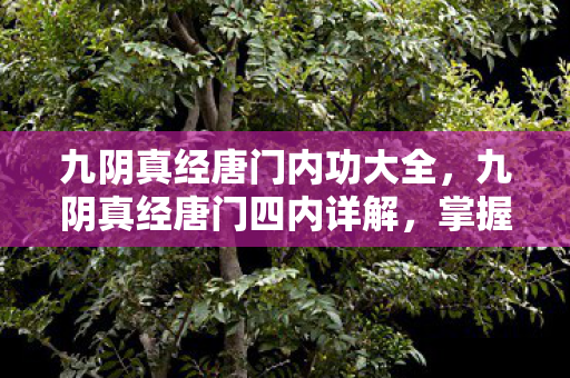 掌握毒术与暗器的宗师之路图片