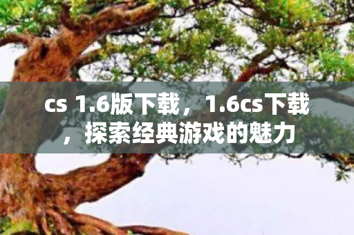 cs 1.6版下载，1.6cs下载，探索经典游戏的魅力