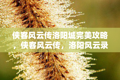 侠客风云传洛阳城完美攻略，侠客风云传，洛阳风云录