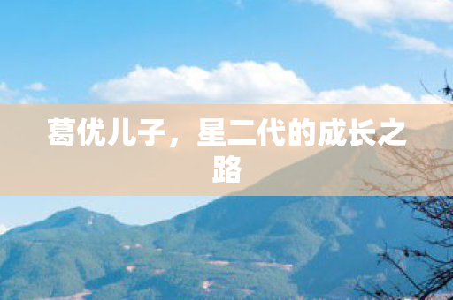 葛优儿子，星二代的成长之路