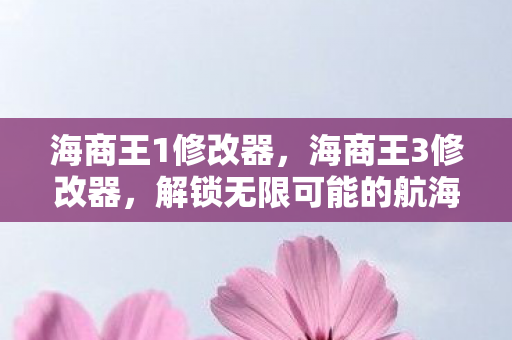 海商王1修改器，海商王3修改器，解锁无限可能的航海冒险