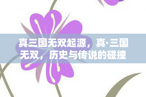 真三国无双起源，真·三国无双，历史与传说的碰撞